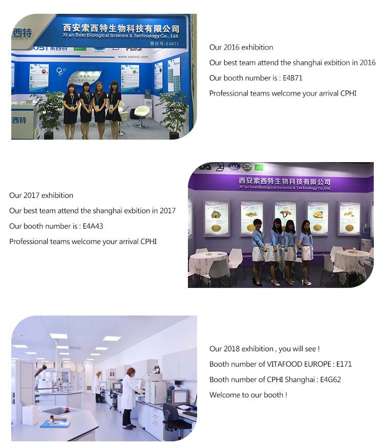 exhibition exhibition