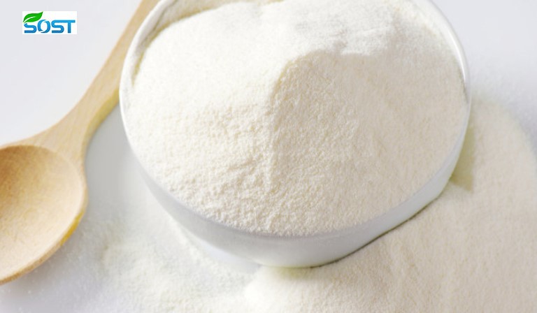 Lactose Powder Manufacturer2