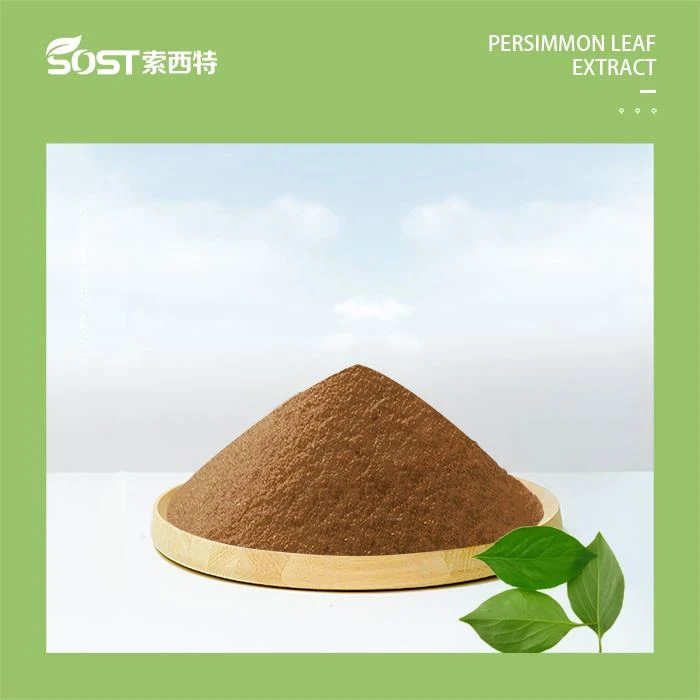Persimmon Leaf Extract Powder1