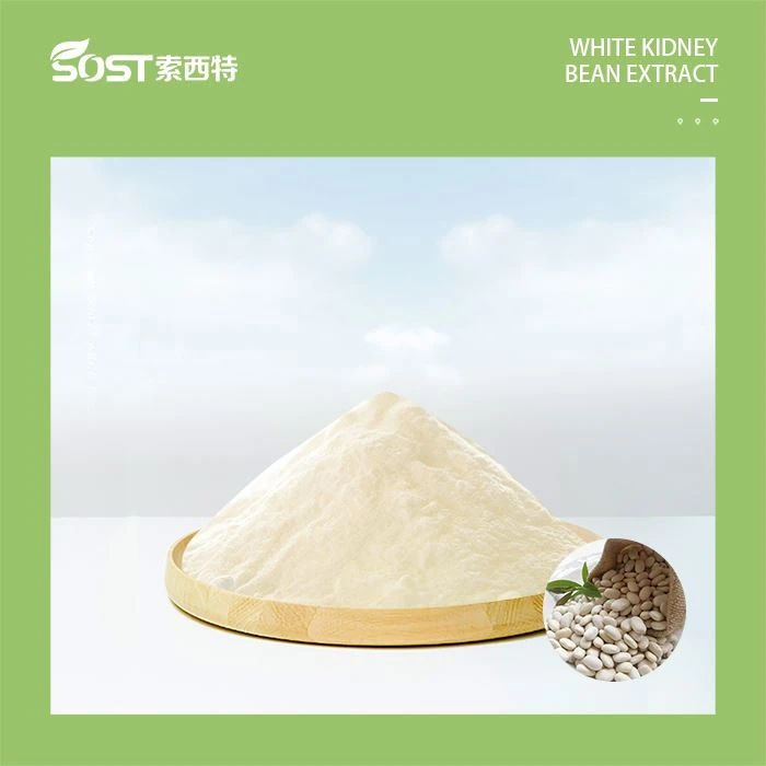 White Kidney Bean Extract