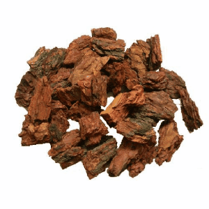 Anti Aging Pine Bark Extract Powder