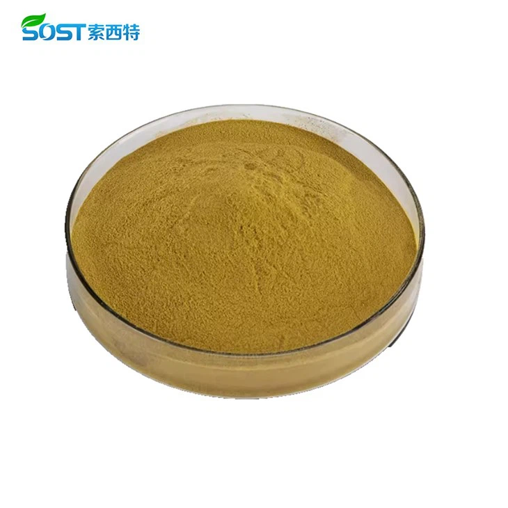 Nettle Extract Powder