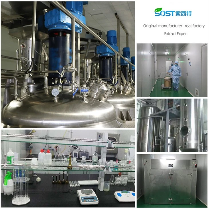 Persimmon Leaf Extract Powder